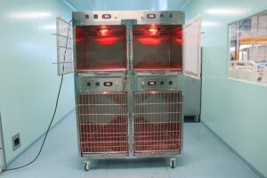 Veterinary ICU Cage